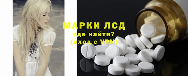 PSILOCYBIN Пересвет