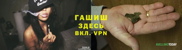 PSILOCYBIN Пересвет