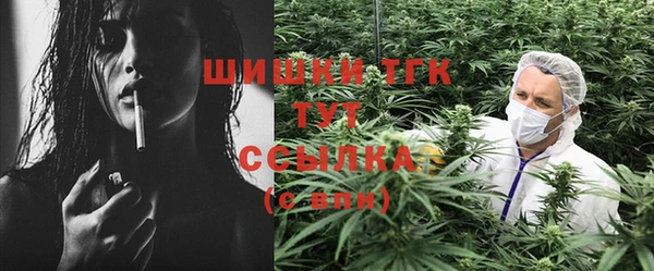 PSILOCYBIN Пересвет