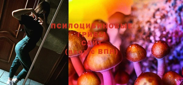 PSILOCYBIN Пересвет