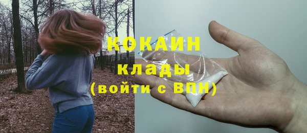 тгк Пестово