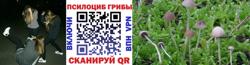 Галлюциногенные грибы ЛСД  Купить  Каменск-Шахтинский 